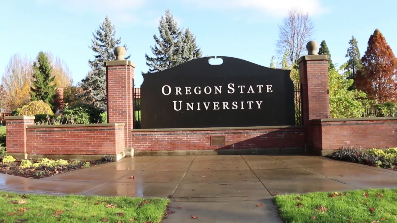 Oregon State University Graduate School Acceptance Rate –  CollegeLearners.com